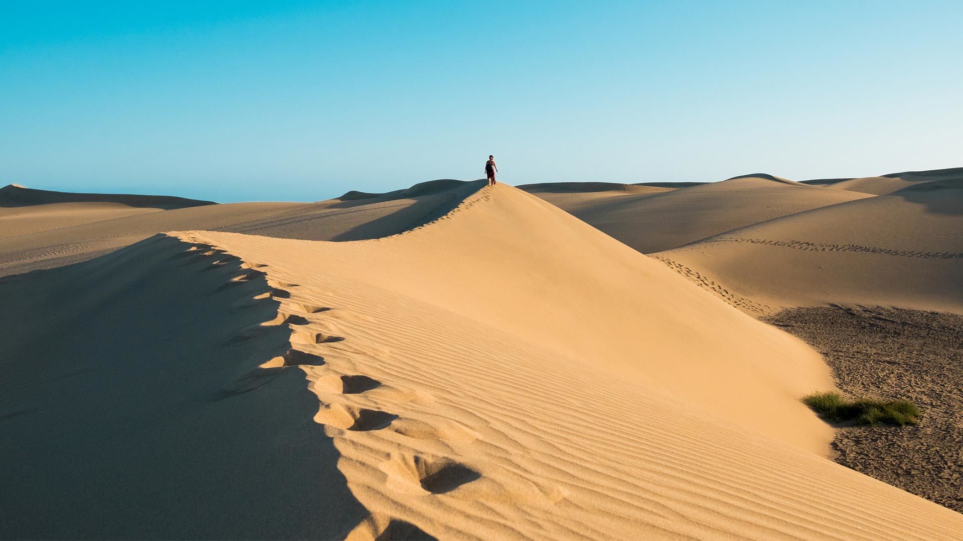 Dünen von Maspalomas